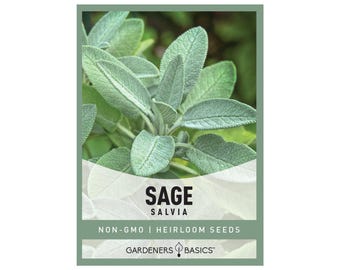 Heirloom Sage Seeds – Non-GMO Herb Variety, Indoor/Outdoor Planting