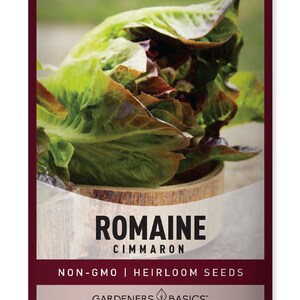 Red Romaine Lettuce Seeds For Planting - Cimmaron Variety - Heirloom, Non-GMO Lettuce Seeds For Spring, Summer, Fall, and Winter Gardening
