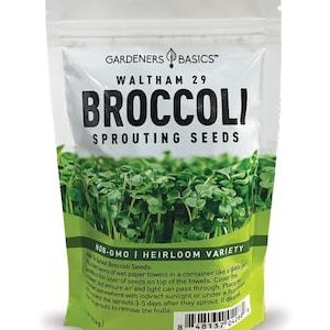 Broccoli Seeds for Sprouting, 1 lb | Waltham 29
