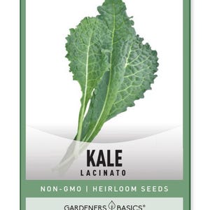Lacinato Kale Seeds