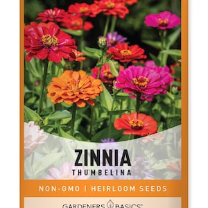 Zinnia Thumbelina Seeds