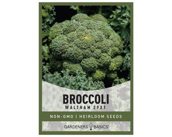 Waltham 29x1 Broccoli Seeds – Heirloom, Non-GMO Vegetable