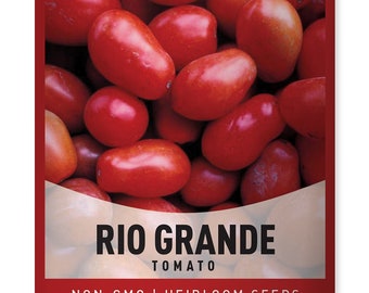 Rio Grande Tomato Seeds For Planting - Heirloom, Non-GMO Vegetable Seeds For Home Garden - Makes a Great Gift For Gardeners