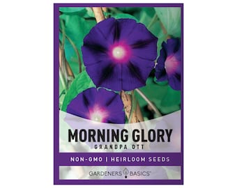 Grandpa Ott Morning Glory Seeds
