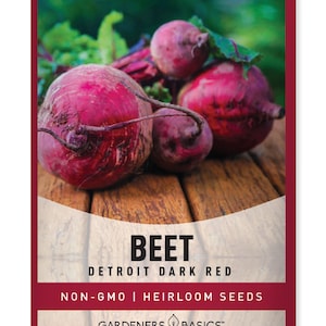 Beet Seeds For Planting - Detroit Dark Red Variety - Heirloom, Non-GMO Vegetable Seeds For Home Vegetable Garden