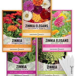 Zinnia Seeds for Outdoor Planting | 5 Variety Pack
