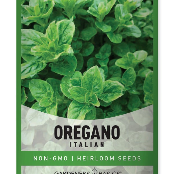 Mexican Oregano Seeds Etsy