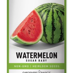 Watermelon Seeds For Planting - Sugar Baby Variety, Non-GMO, Heirloom Fruit Seed - Seeds Great For Outdoor Fruit Garden