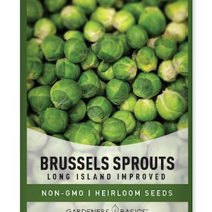 Brussels Sprouts Seeds For Planting - Long Island Improved Variety - Heirloom, Non-GMO Seeds Great For Summer, Fall, and Winter Gardens