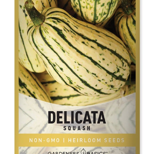 Delicata Squash Seeds For Planting - Winter Squash Heirloom, Non-GMO Vegetable Seeds - Seeds Great For Summer Squash Garden