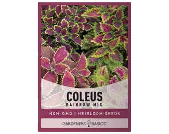 Rainbow Mix Coleus Seeds
