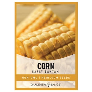 Early Golden Bantam Corn Seeds