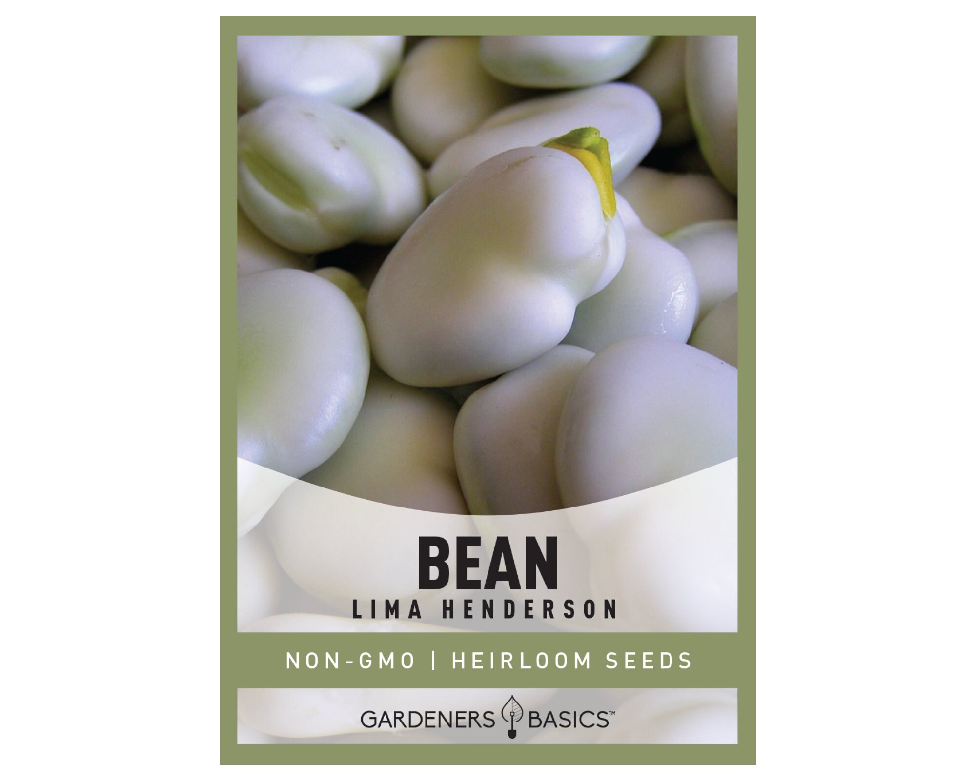 Lima Henderson Bean Seeds for Planting Heirloom Nongmo Etsy