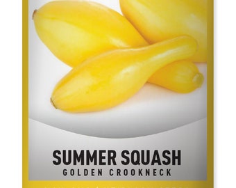 Golden Crookneck Summer Squash Seeds For Planting - Heirloom, Non-GMO Vegetable Seeds Great For Summer Gardening