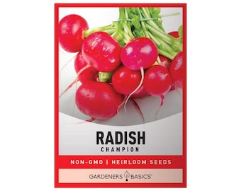 Radish Seeds For Planting - Champion Radish Variety - Heirloom, Non-GMO Vegetable Seeds Great For Outdoor Spring, Winter, and Fall Gardens
