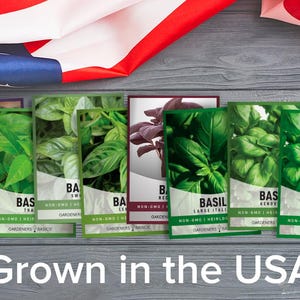 Assorted Gourmet Basil Seed Varieties | 8 Variety Pack - Etsy