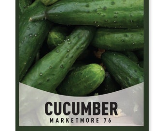 Cucumber Seeds For Planting - Marketmore 76 Variety - Heirloom, Non-GMO Vegetable Seeds - Seeds Great For Outdoor Gardening