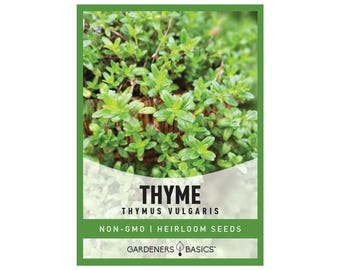 Heirloom Thyme Seeds - Non-GMO Herb Seeds for Planting