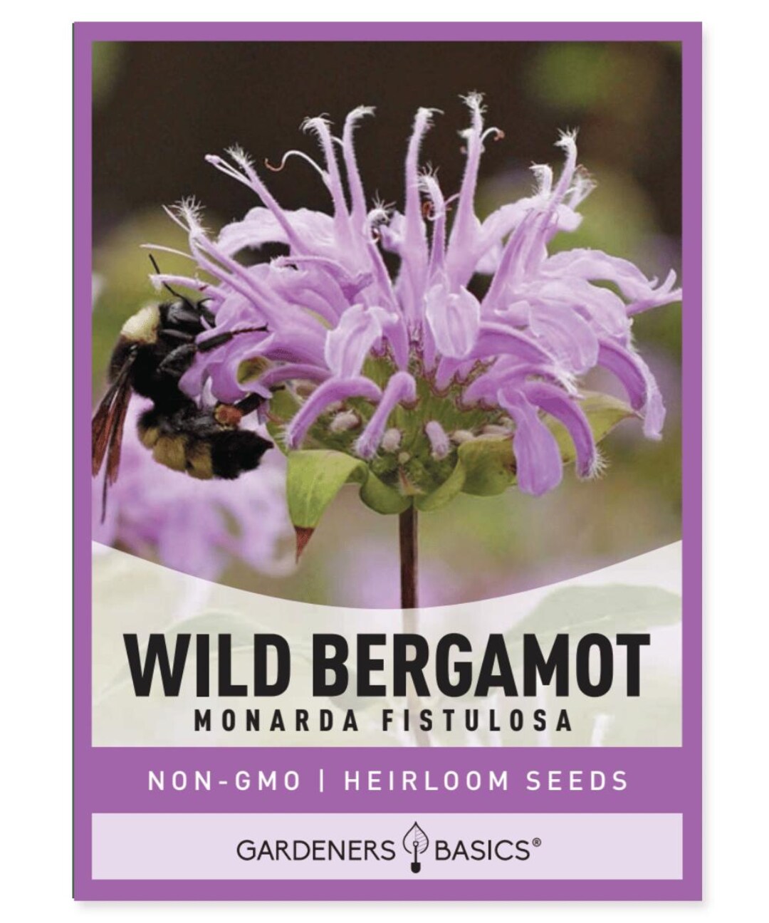 Bergamot Seeds - Etsy