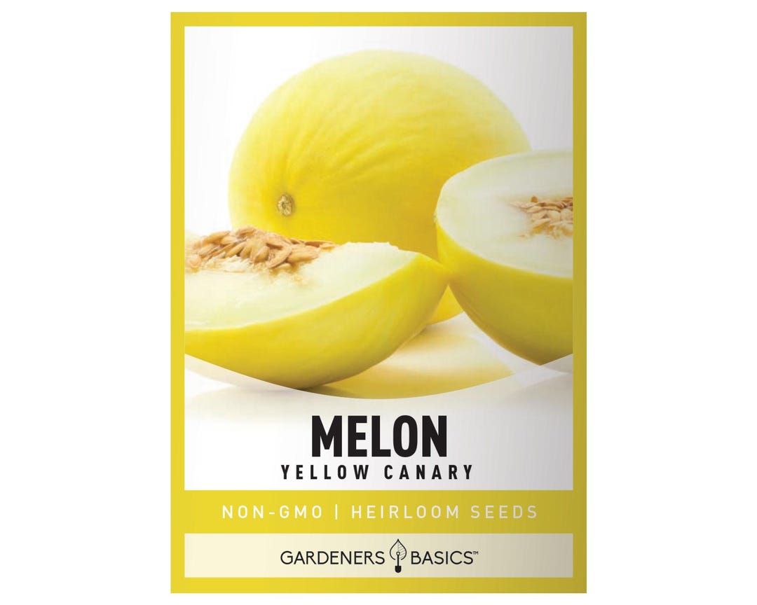 Cool Review About Canary Melon Seeds