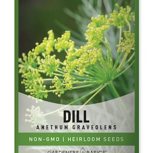Bouquet Dill Seeds
