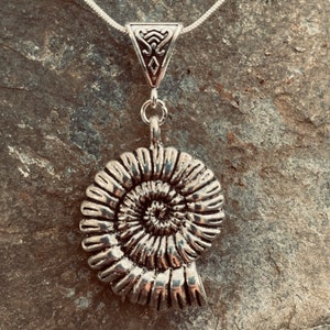 Collar de fósil de amonita de plata