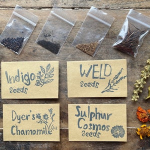 Dye Garden Seeds BUNDLE, Indigo, Dyer's Chamomile, Weld, Sulphur Cosmos, Dye Plants, Natural Dyeing, Organically Grown Seeds