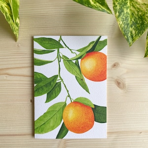 Tarjeta de felicitación con acuarela naranja / Ilustración de fruta botánica / Interior en blanco / Papelería botánica / Diseño de cítricos Mimal