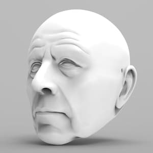 Pode incluir: Uma escultura de gesso branco de uma cabeça de homem com uma expressão séria. A escultura é detalhada com rugas e uma testa franzida.