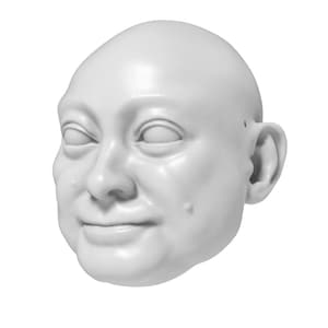 May include: A white plaster cast of a person's face, showing a neutral expression with closed eyes. The face is slightly tilted to the side, and the ear is visible.
