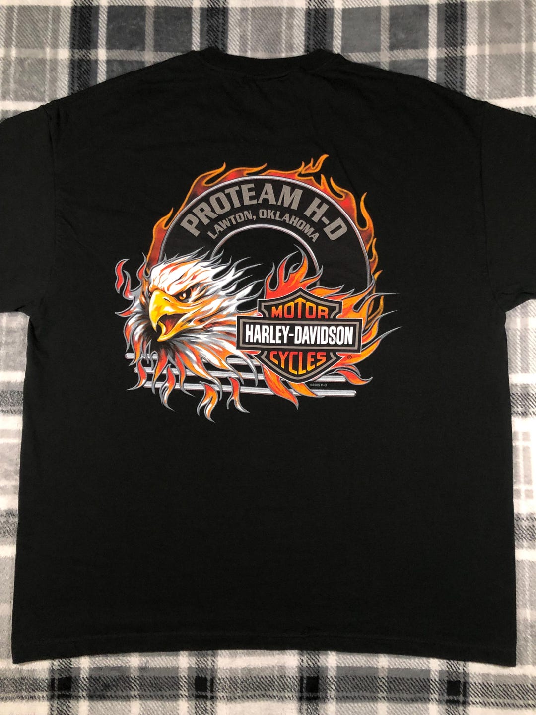 Vintage - Harley Davidson Motorcycles - Flame Eagle - Biker T