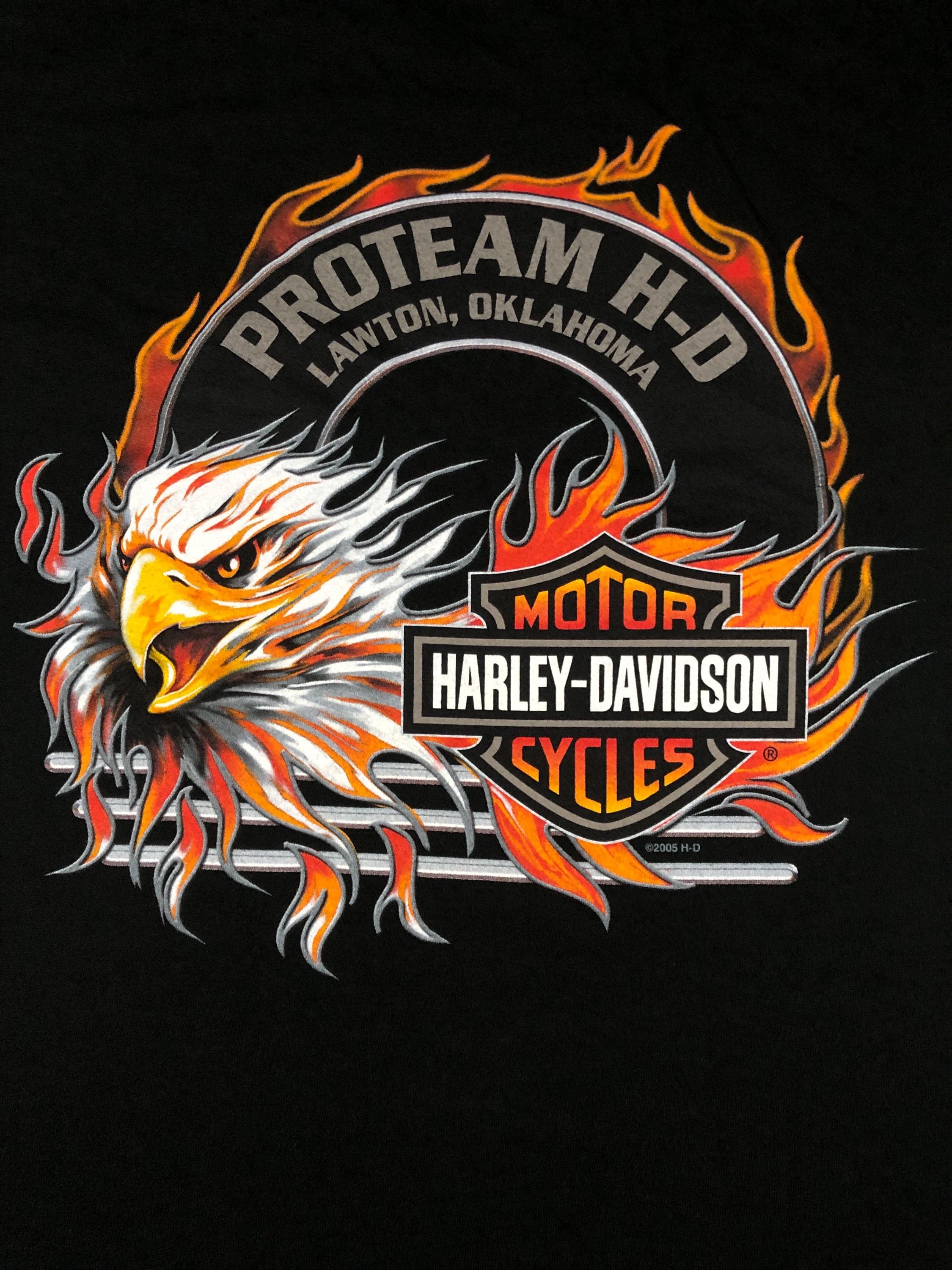 Vintage - Harley Davidson Motorcycles - Flame Eagle - Biker T