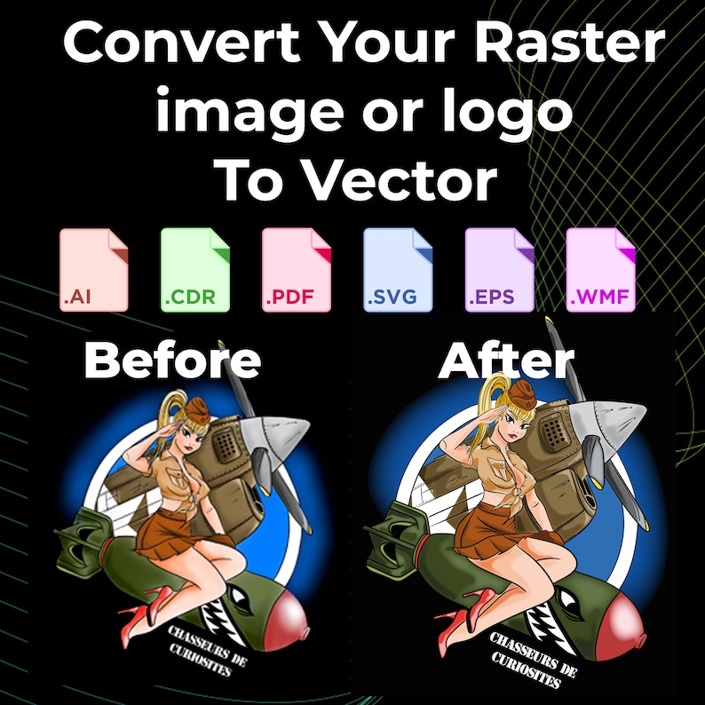 Vector Tracing, Vector Art Conversion, Logo Vectorization ...