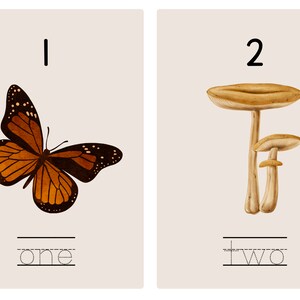 May include: Two educational cards with a beige background. One card features a monarch butterfly with orange, black, and white markings, the number 1, and the word "one" in a dotted font. The second card shows three mushrooms, the number 2, and the word "two".