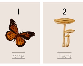 nature numbers 1-10 Reggio Emilia inspired