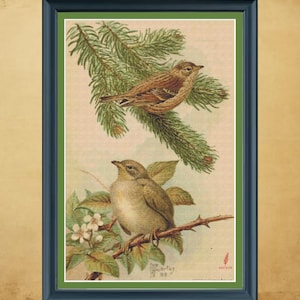 May include: A framed print featuring two birds. One bird is perched on a green pine branch, the other on a flowering branch. The birds are brown and tan, with a light green background. The frame is dark blue.