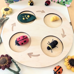 Life Cycles Flisat Insert / 4 or 5 Stages Montessori Lifecycles Play Tray / Wood Life Cycle Board / Wooden Life Cycles Puzzle / Trofast Lid