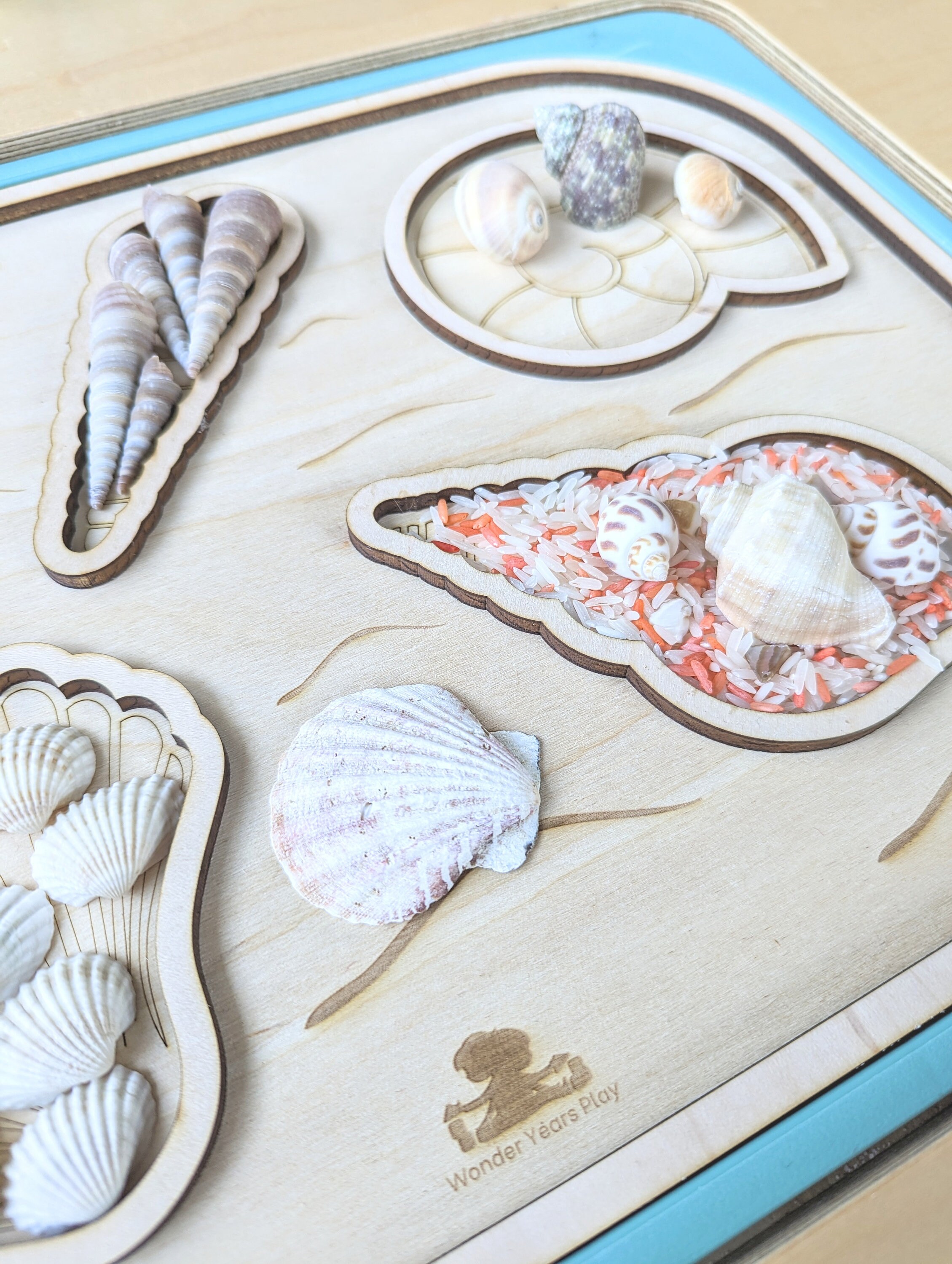 Flisat Seashell Insert / Trofast Seashell Insert / Seashell Flisat ...