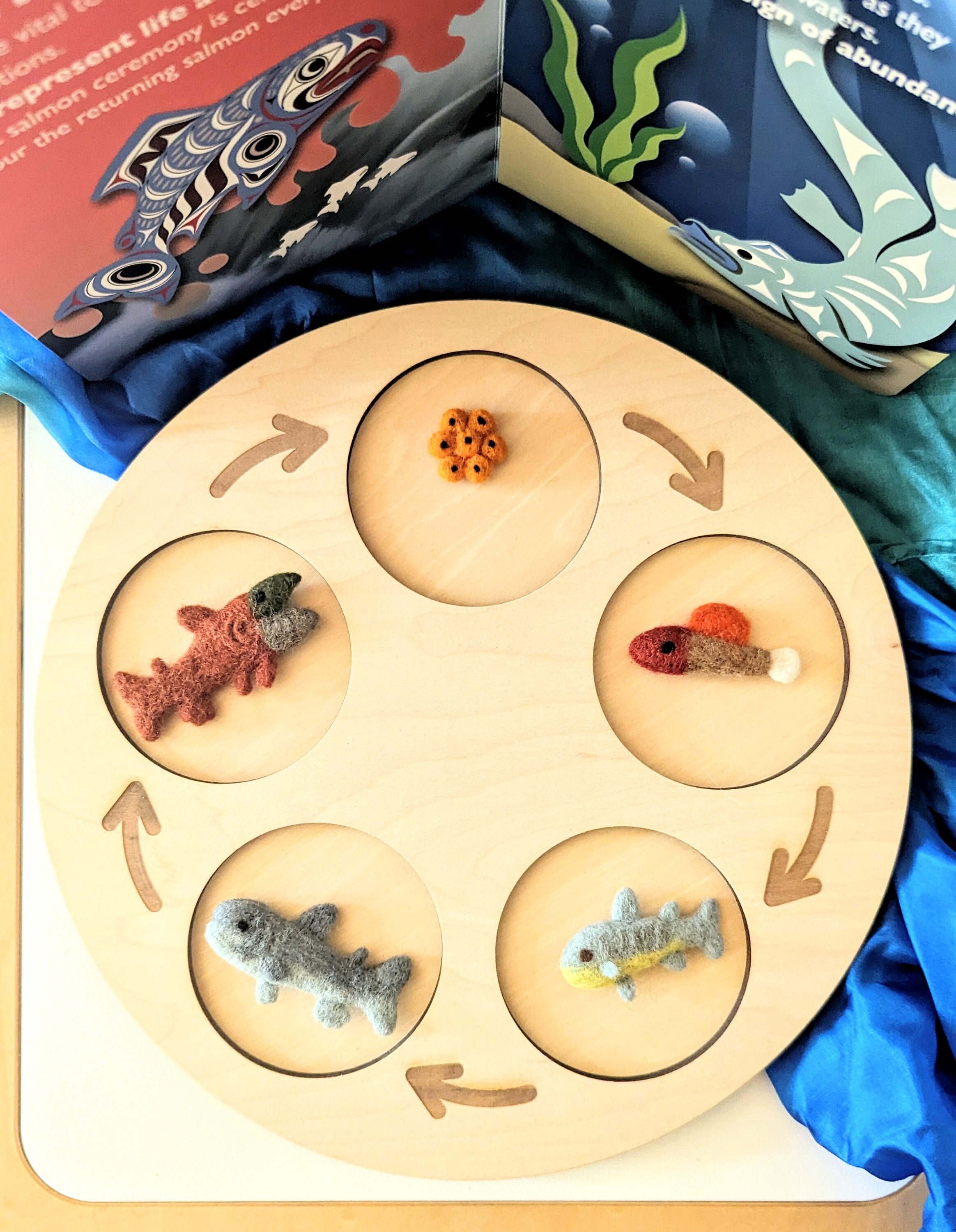 Tavola Del Ciclo Di Vita In Legno Per Bambini – Puzzle Educativo A 5 Fasi, Per Età 3-6 Anni