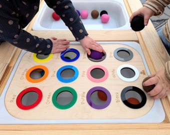 Flisat Colors Insert English French Spanish Custom Language Labels \ Preschool Toddler Fine Motor Colour Sorting Game \ Colors Activity