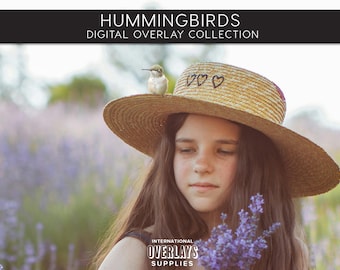 HUMMINGBIRDS Overlays, Photoshop Overlays, Hummingbirds, Birds, Outdoors Photography, Garden, Spring, animal, beautiful