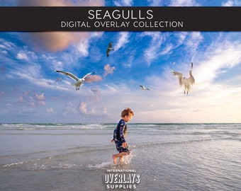 SEAGULLS OVERLAYS, Photoshop Overlays, Seagull, Seagull Overlays, Seagulls Overlays, Beach Overlays, Summer Overlays, Seagulls, png