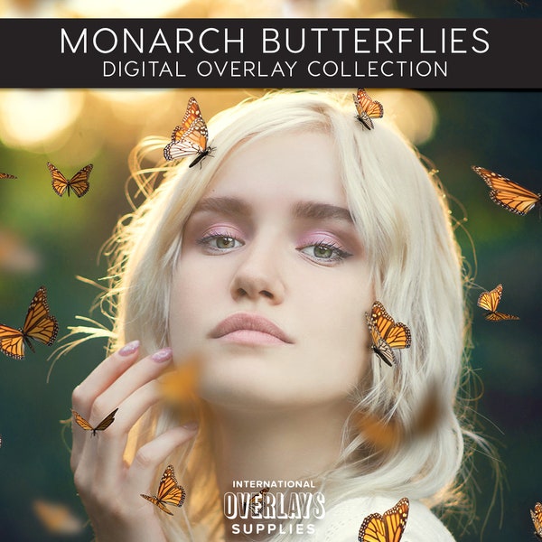 MONARCH Butterflies Photoshop overlays, Realistic Butterfly overlays, photo overlay,  Transparent PNG, layered PSD, Digital Download