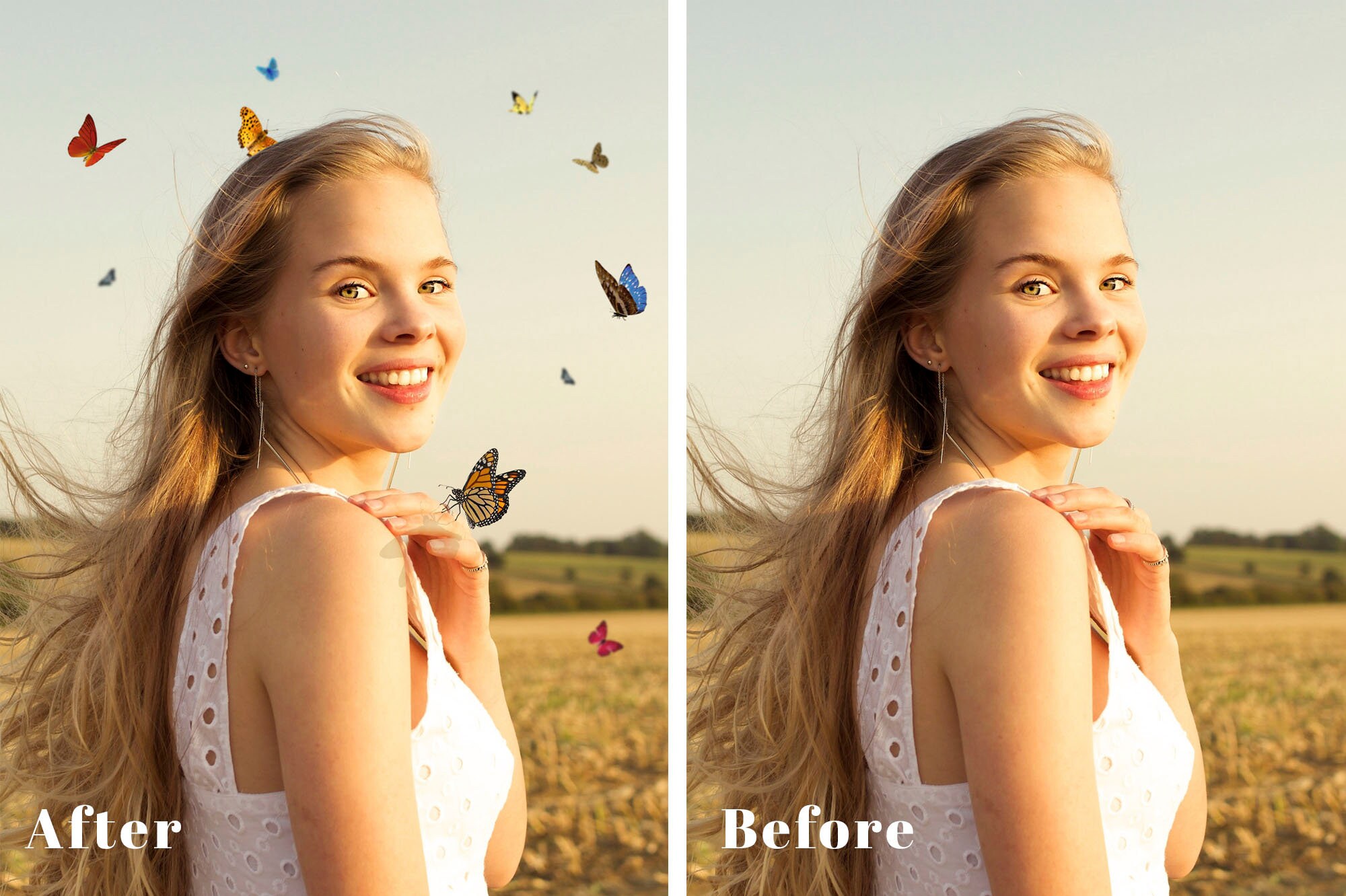 BUTTERFLIES OVERLAYS, Photoshop Overlays, Butterfly, Butterfly Overlay ...