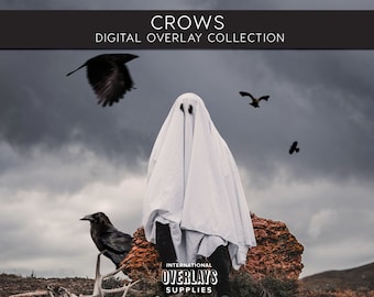 CROWS OVERLAYS, Photoshop Overlays, Crow, Crow Overlays, Birds Overlays, Halloween, Photoshop Overlay, Halloween Overlays, Raven, png