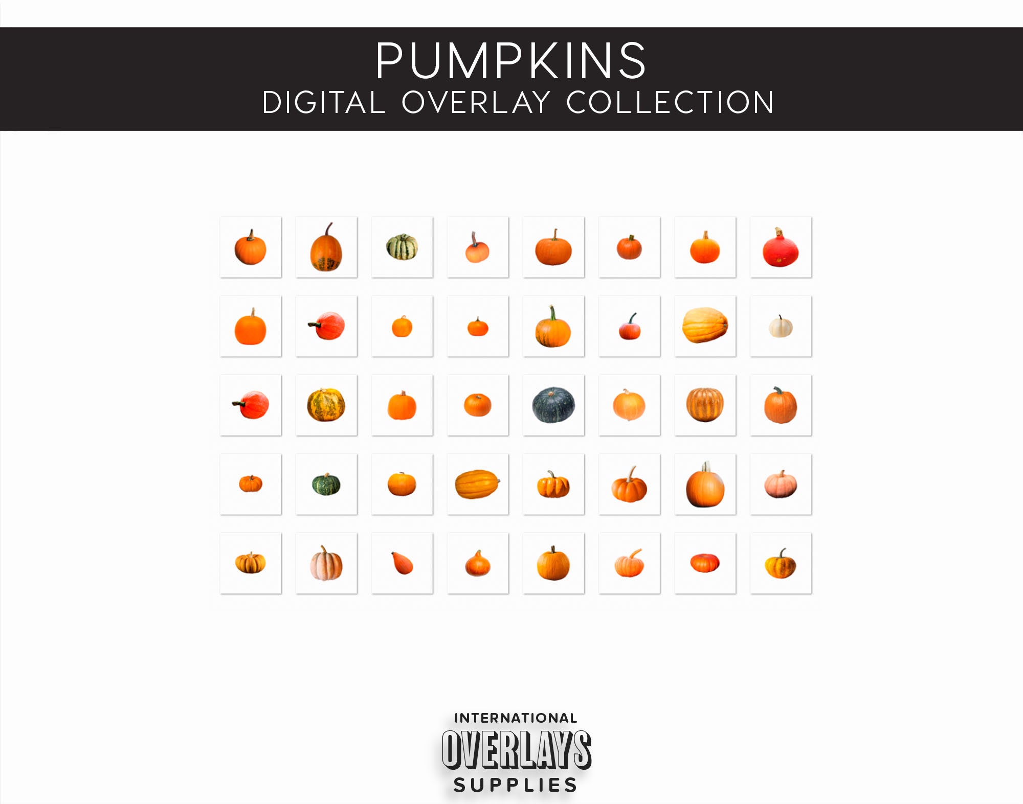 PUMPKINS OVERLAYS, Overlays, Pumpkin, Pumpkin Overlays, Fall