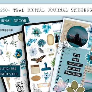 May include: A digital sticker pack featuring over 250 teal and blue floral, nature, and inspirational quote stickers. The stickers are pre-cropped and can be used in digital planners and journals. The pack includes a Goodnotes file.