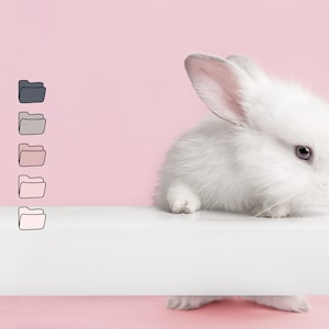 Pode incluir: Um coelho branco com orelhas cor-de-rosa sentado em uma superf&iacute;cie branca sobre um fundo rosa.