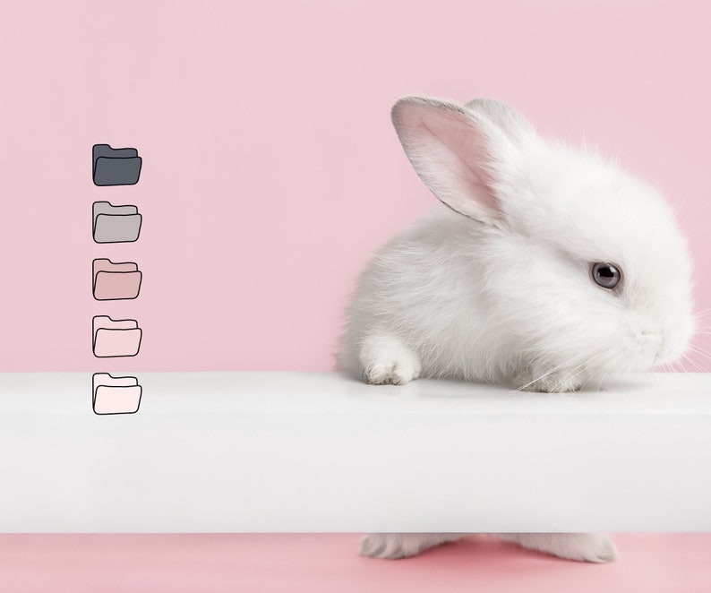 Pode incluir: Um coelho branco com orelhas cor-de-rosa sentado em uma superf&iacute;cie branca sobre um fundo rosa.