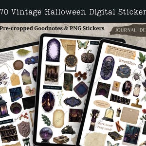 Può includere: Tre tablet digitali che mostrano adesivi vintage di Halloween. Gli adesivi includono teschi, zucche, orologi ed elementi botanici. Il testo sull'immagine recita "270 Vintage Halloween Digital Stickers" e "Pre-cropped Goodnotes & PNG Stickers."